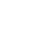 CFA 2005 LOGO