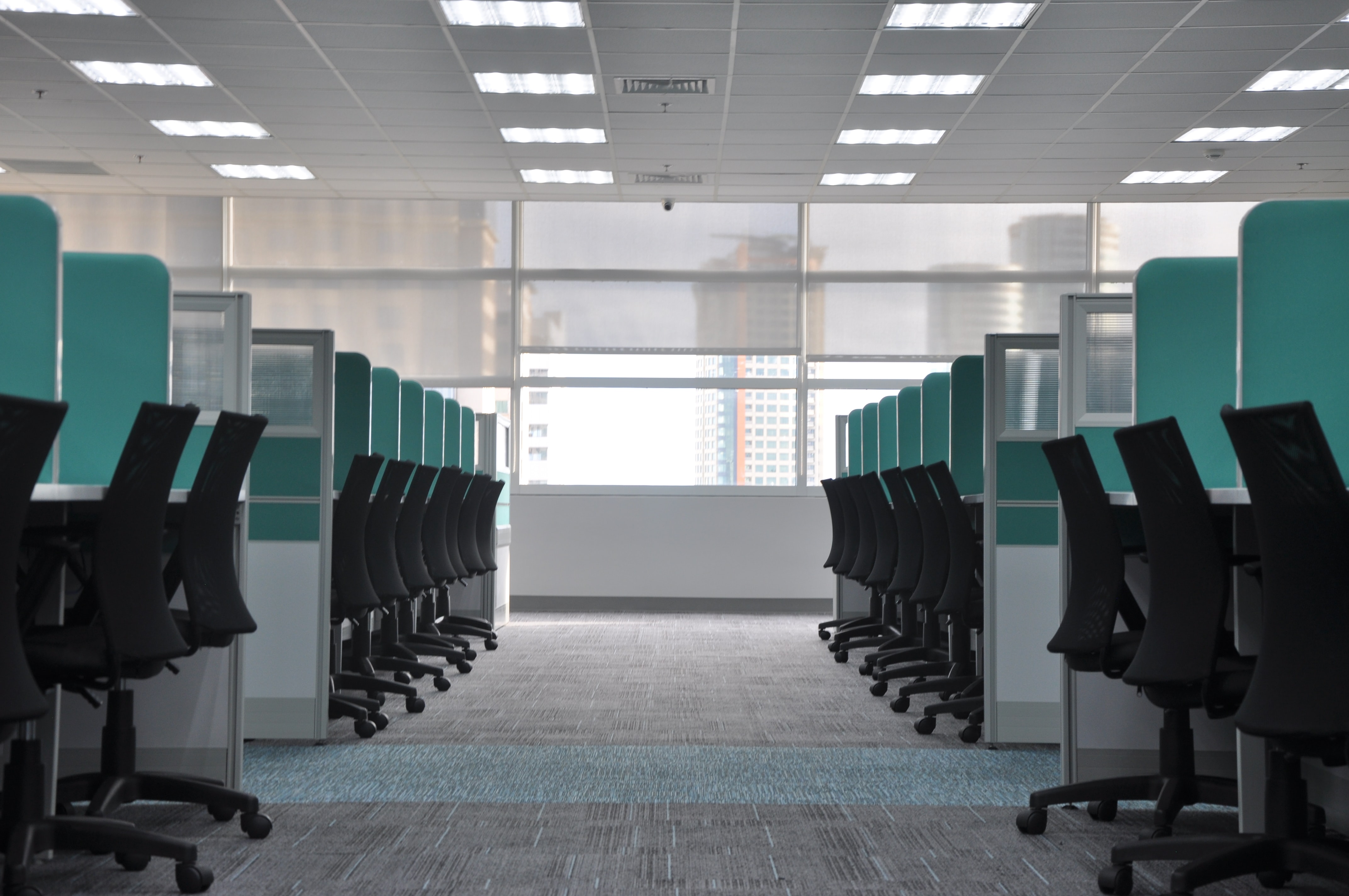 Our Advice Towards Choosing Your Next Office Carpet